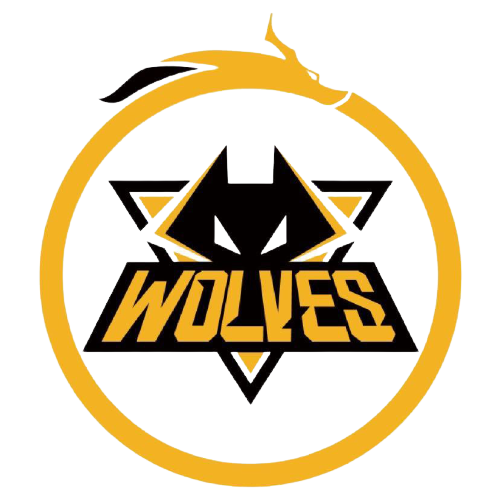 另一名巴西 另一名巴西